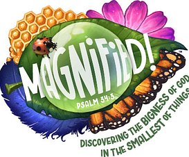 magnified color